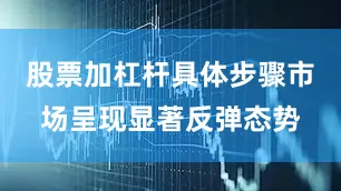 股票加杠杆具体步骤市场呈现显著反弹态势