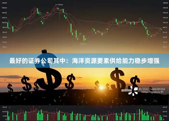 最好的证券公司其中：海洋资源要素供给能力稳步增强