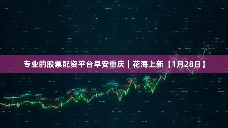 专业的股票配资平台早安重庆｜花海上新【1月28日】
