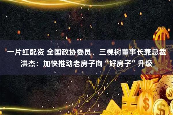 一片红配资 全国政协委员、三棵树董事长兼总裁洪杰：加快推动老房子向“好房子”升级