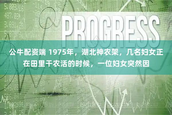公牛配资端 1975年，湖北神农架，几名妇女正在田里干农活的时候，一位妇女突然因