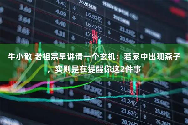 牛小散 老祖宗早讲清一个玄机：若家中出现燕子，实则是在提醒你这2件事